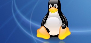 linux316