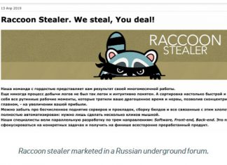 “Raccoon” zərərli proqramı