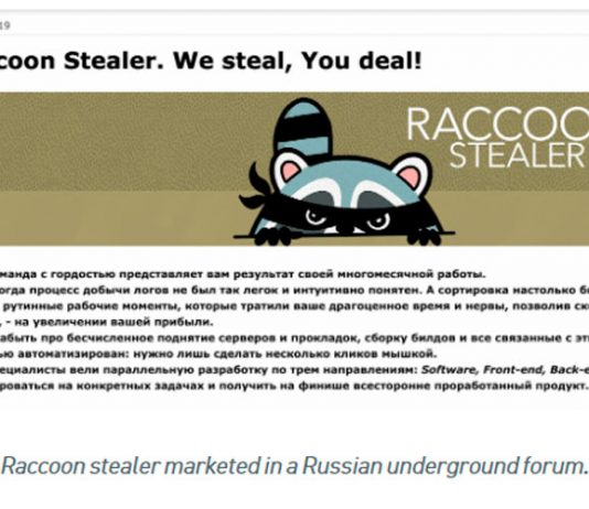 “Raccoon” zərərli proqramı